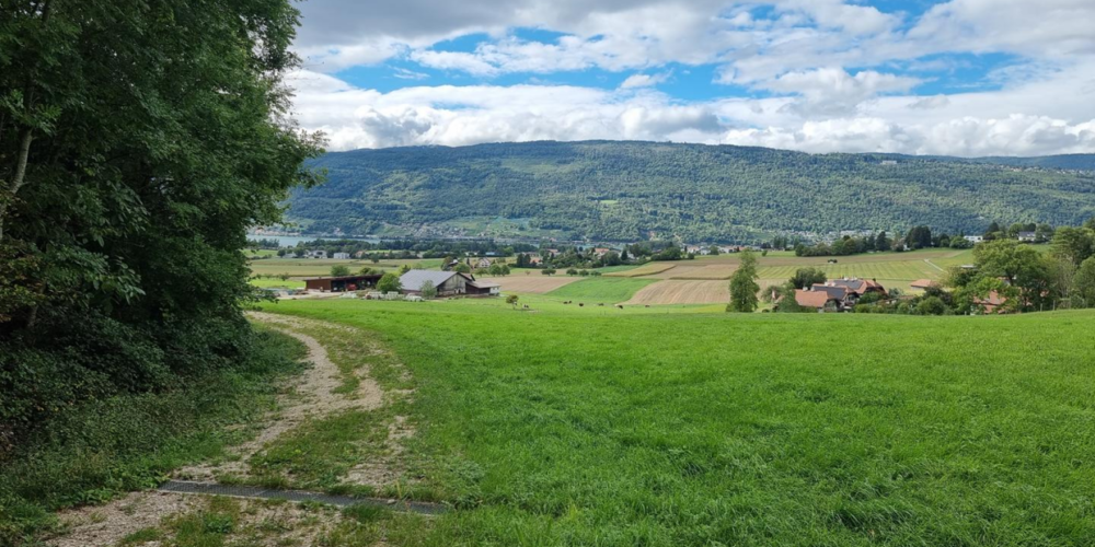 In den letzten 25 Jahren hat sich die Anzahl tödlicher Landwirtschafts-Unfälle halbiert. 