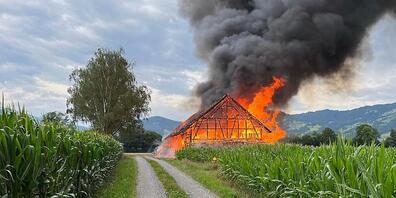 Im Stall war vor allem Holz gelagert worden. Tiere oder Menschen kamen nicht zu Schaden.