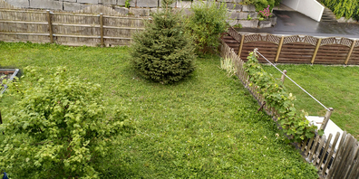 Tremps Garten mit Blick auf die Strasse, wo am 1. August die unerwünschten 1.-August-Artikel gestartet werden. 