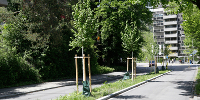 Mehr Natur: Der Verein Stadtgrün will eine Stiftung schaffen, die Umweltprojekte plant.