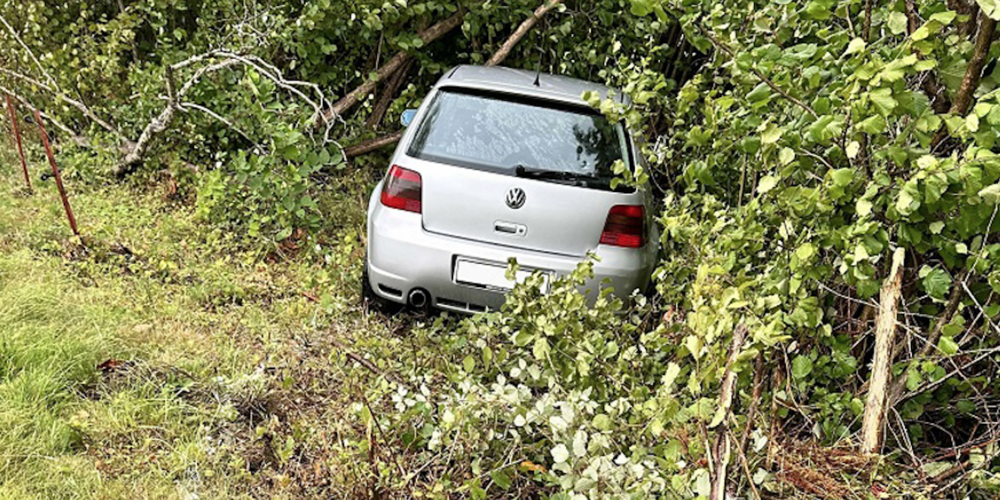 Das Auto kam in einem Gebüsch zum Stillstand