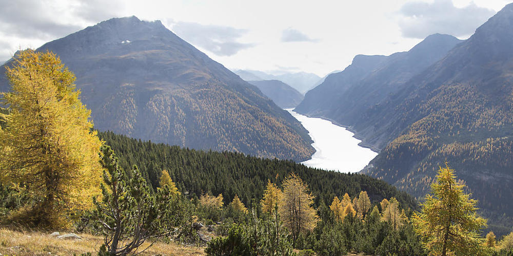 Je höher man in Graubünden wandert, desto besser ist die Biodiversität - also die Artenvielfalt, die Lebensräume und die Vernetzung untereinander. Besonders in den Talböden und rund um Gewässer bestehen grosse Defizite. (Archivbild)