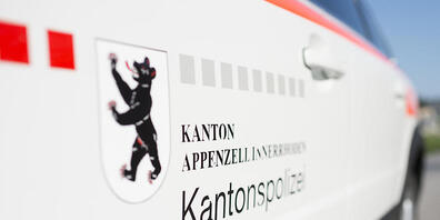 Ein 27-jähriger Flugschüler flog in Jakobsbad AI zunächst in die Seile einer Luftseilbahn und stürzte danach in die Wiese. (Symbolbild)