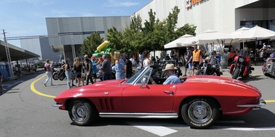 Eine schöne alte Corvette cruist über den Rheinpark-Parkplatz