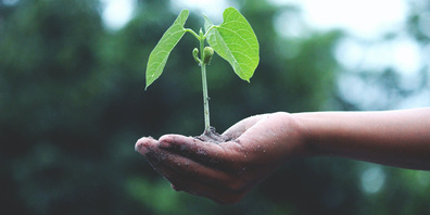 Die Mitte ist für den Gegenvorschlag zur Klimafondsinitiative.