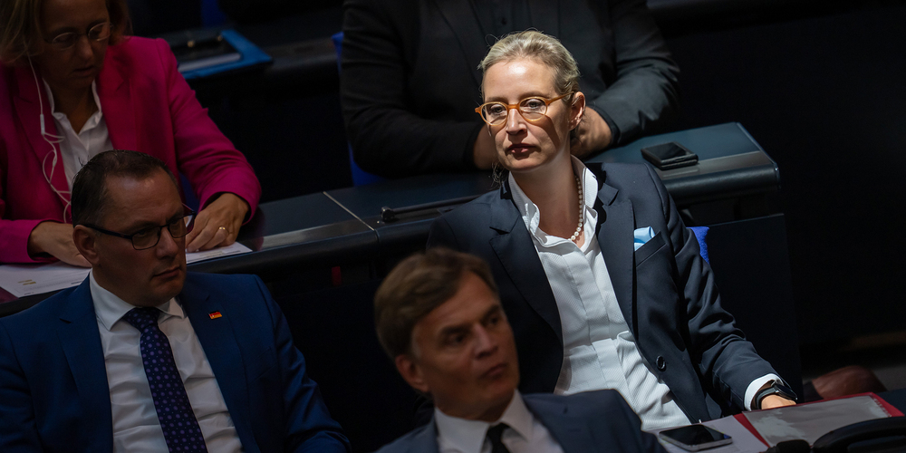 Sorge um die Sicherheit von AfD-Politikerin Alice Weidel.