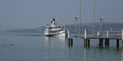 Die MS Wädenswil wird derzeit einer «Kur» unterzogen.