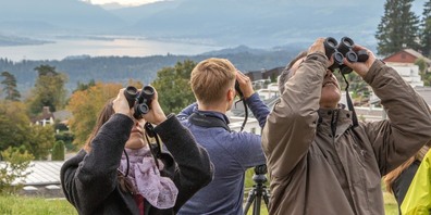 Am EuroBirdwatch können an über 50 Beobachtungsständen die Zugvögel live beobachtet werden.