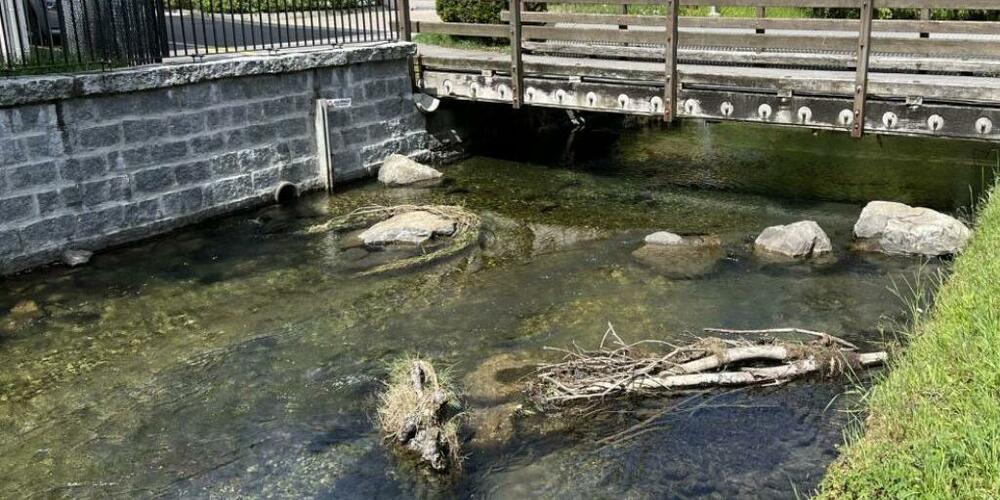 Die Massnahmen sind auf einer Musterstrecke in Brunnen getestet worden.