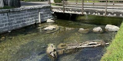 Die Massnahmen sind auf einer Musterstrecke in Brunnen getestet worden.