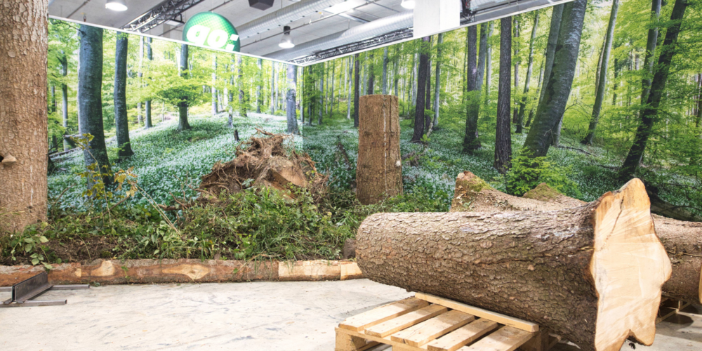 «Mein Wald. Dein Wald» Ausstellungsauszug