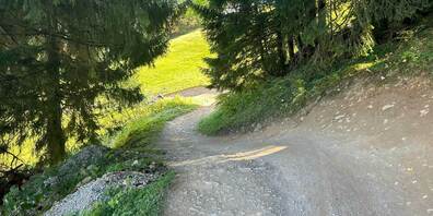 Der 41-Jährige verunfallte mit seinem Bike auf einem Singletrail.
