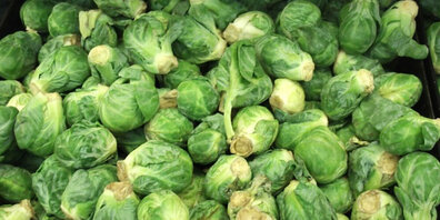 Rosenkohl zählt dank des hohen Vitamin- und Mineralstoffgehaltes zu den wertvollsten Wintergemüsen. 
