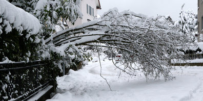 Für gelungene Winterspiele braucht es neben Schnee auch eine Bevölkerung, die fest hinter dem Grossanlass steht.