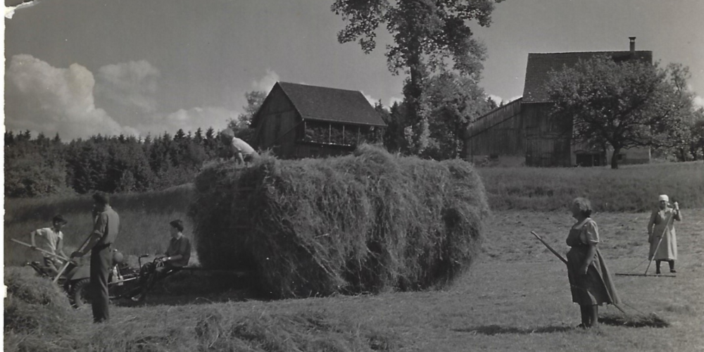 Die Familie Germann mit Nachbarn bei der Heuernte (ca. 1955–1960).