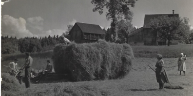 Die Familie Germann mit Nachbarn bei der Heuernte (ca. 1955–1960).