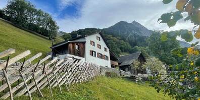 Ästhetisch hin oder her: Für diesen Walserzaun auf der Guscha muss der Verein Pro Guscha auf Aufforderung der Stadtgemeinde Maienfeld beim Kanton ein BAB-Gesuch einreichen. 