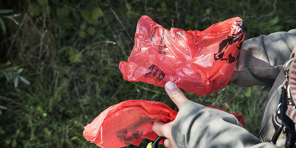 Die Stadtzürcher Hundesteuer wird bis auf Weiteres nicht gesenkt. Mit dem Geld werden unter anderem die Hundekotbeutel zur Verfügung gestellt. (Symbolbild)