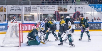 Der HC Thurgau hat hart gekämpft.