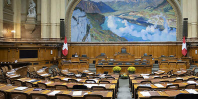 210 Thurgauerinnen und Thurgauer kandieren auf 36 Listen für die sechs Thurgauer Sitze im Nationalrat. (Symbolbild)