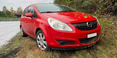 Die Lenkerin verlor auf nasser Fahrbahn die Kontrolle über ihr Fahrzeug.