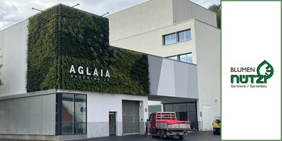 Nützi-Projekt Aglaia in Adliswil - Fassadenbegrünung der Spitzenklasse.