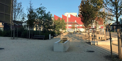 Aus Sicht des Landschaftsschutzes besitzen unbebaute Räume im Stadtgebiet einen hohen Wert. (Themenbild)