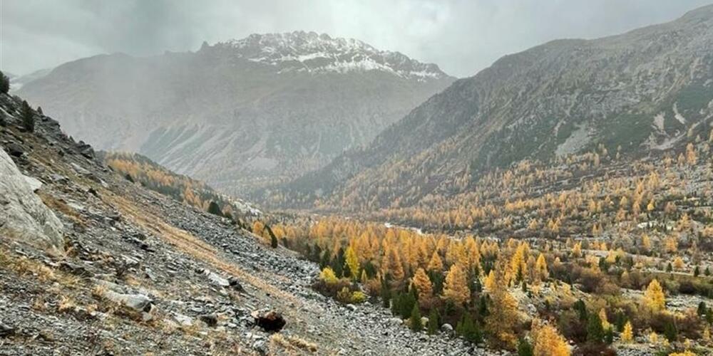 Der vermisste Jäger wurde um Mitternacht unweit des Wanderweges zum Morteratschgletscher tot aufgefunden.