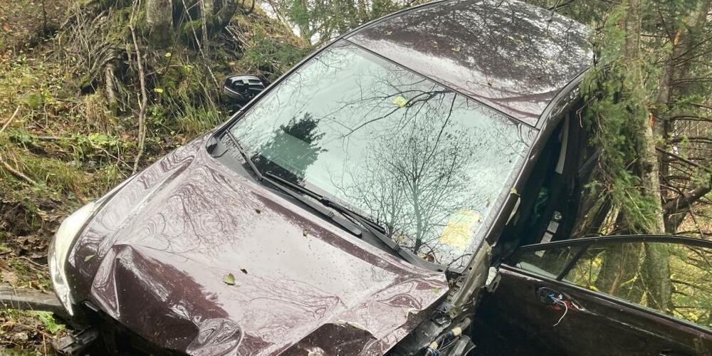 Erst als das leere Auto gegen Bäume krachte, kam es total demoliert zum Stillstand.