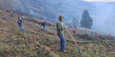 Erfolgreicher Frondienst: der Gleitschirmklub Glarnerland bei der Entfernung von wucherndem Unkraut auf der Alp.