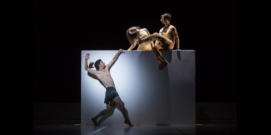 Die Balletttänzer begeistern mit mitreissenden Choreografien.