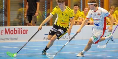 Trotz ausgeglichenen Spiels zogen die Gators gegen March-Höfe den Kürzeren (Archivbild)