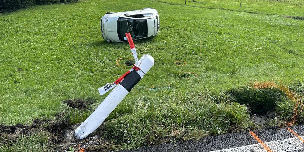 Das Auto überschlug sich und kam in der Wiese zum Stillstand.
