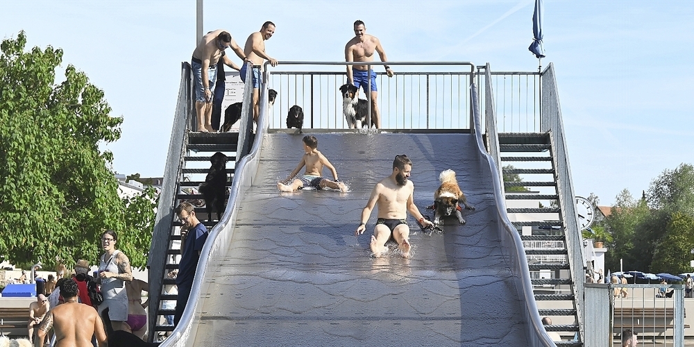 Die mutigen Hunde fanden an der Rutschbahn Gefallen – mit oder ohne Unterstützung.