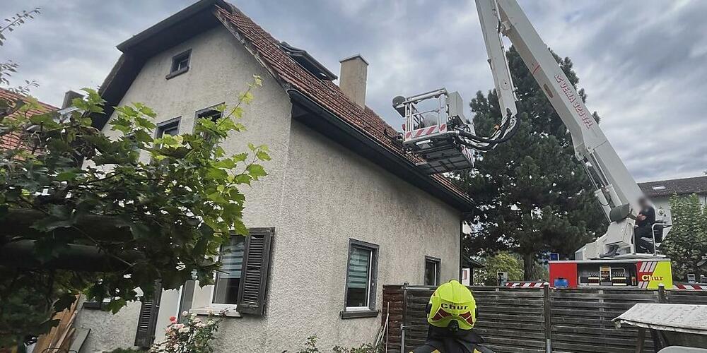 Churer Feuerwehrleute befreien Hund Gordon aus seiner misslichen Lage.