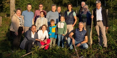 Zu ihrem 30-jährigen Bestehen pflanzten die Umweltfreisinnigen St.Gallen im Gossauer Wald neue 30 Eichen.