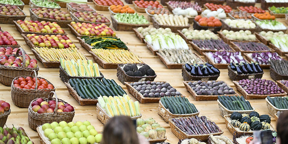 Am 12. Oktober beginnt die Olma Schweizer Messe für Landwirtschaft und Ernährung. Zürich tritt dieses Jahr als Gastkanton auf. (Archivbild)