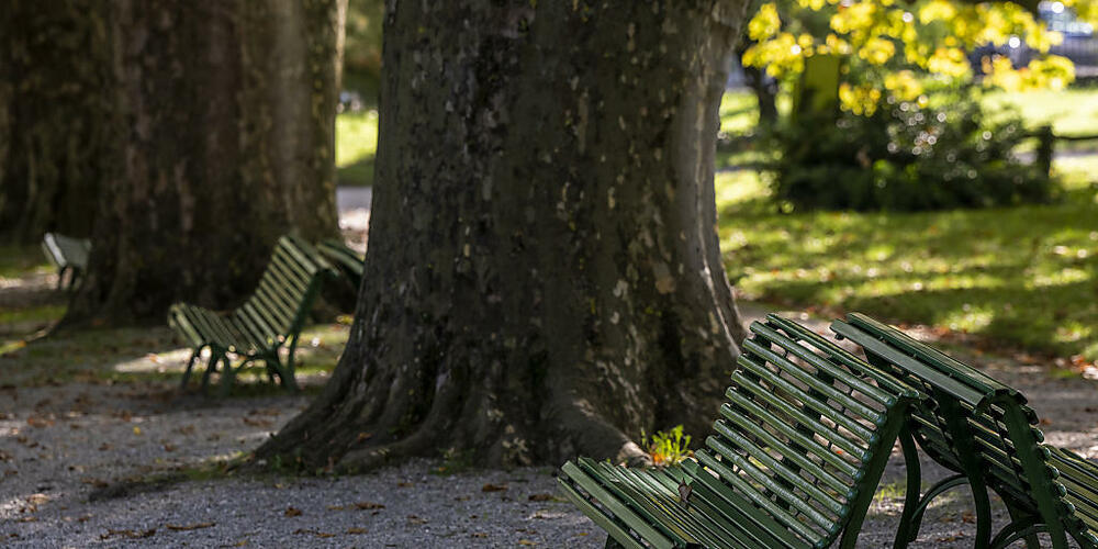 Ein «Central Park am See» versprechen sich die Initianten – doch für den Zürcher Gemeinderat ist die Volksinitiative Mythenpark zu teuer. (Symbolbild)