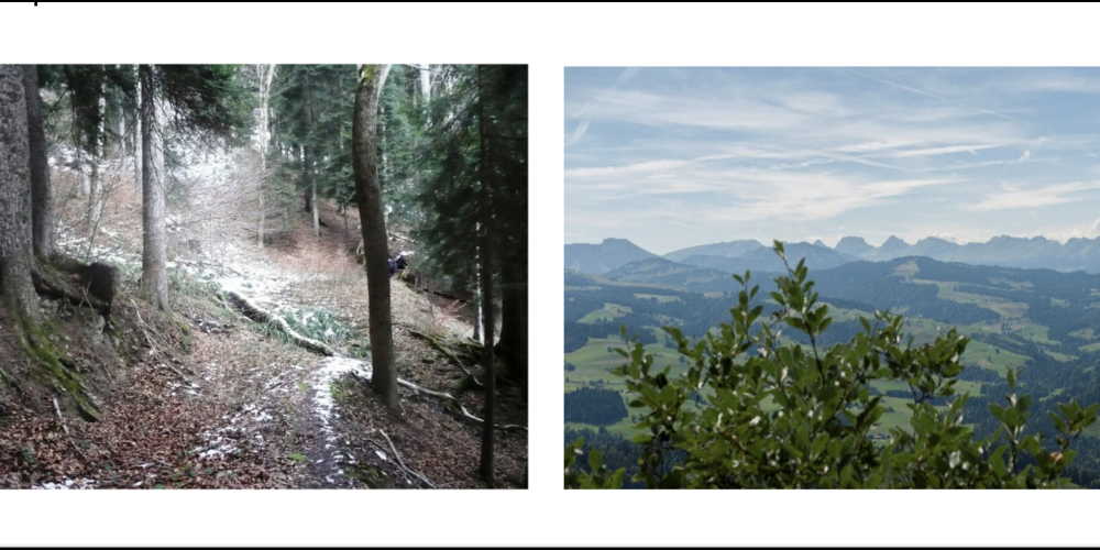 Wo liegt der Mittelpunkt der Gemeinde Neckertal? Eine Anmeldung bei Hansueli Ammann, 071 374 28 67 ist erwünscht.