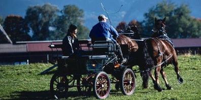 Die Gespannfahrer sind am Sonntag an der Reihe