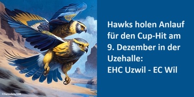 Der Sieg vor Wochenfrist gegen den EHC Lenzerheide-Valbella war erfreulich.  Jetzt fliegen die Hawks ins Engadin und holen Anlauf für den Cup.