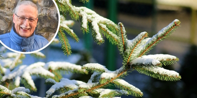 Zum November-Ende grüsste der Winter mit Schnee, was laut Walter Berger (kl.) meist zu einer grünen und milden Weihnacht führte in den letzten Jahren.