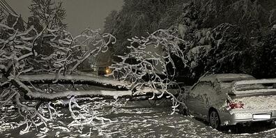 Auf der Churer Malixerstrasse knallte Freitagnacht ein Auto in einen zuvor umgestürzten Baum. Die Insassen blieben unverletzt.