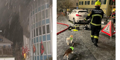 Ein Feuerwehrmann bringt zwei Hunde in Sicherheit. 