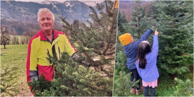 Melchior Landolt empfängt die Besucher in der Christbaum-Plantage (l.). Das gemeinsame Christbaum-Aussuchen ist ein besonderer Spass für die Kinder (r.).