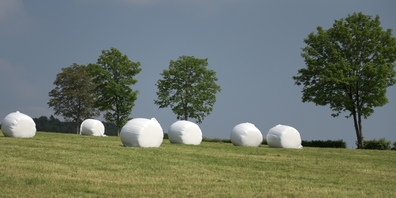 Nach wie vor werden die in der Schweiz für Siloballen genutzten Kunststofffolien grösstenteils in Kehrichtverwertungsanlagen verbrannt. (Themenbild)