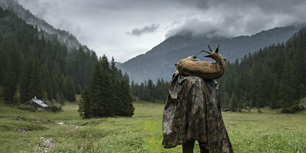 Wildfleisch wurde in den Kantonen Graubünden und Glarus in einigen Betrieben als inländisch bezeichnet, obwohl das Fleisch aus dem Ausland stammte. (Archivbild)