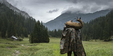 Wildfleisch wurde in den Kantonen Graubünden und Glarus in einigen Betrieben als inländisch bezeichnet, obwohl das Fleisch aus dem Ausland stammte. (Archivbild)