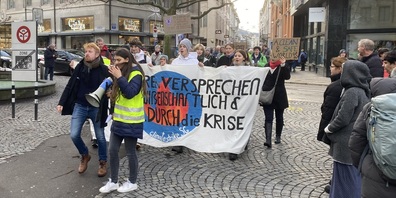 Das Klimastreik-St.Gallen-Kollektiv rief zur Demonstration auf.
