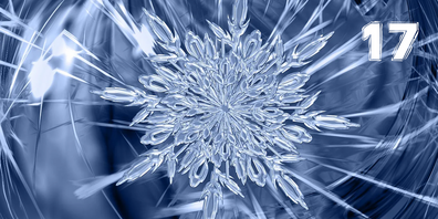 Der Winter ist gar nicht damit einverstanden, dass die kleine Oma so traurig ist, und eines Nachts zaubert er eine Eisblume an ihre kahle Fensterscheibe.